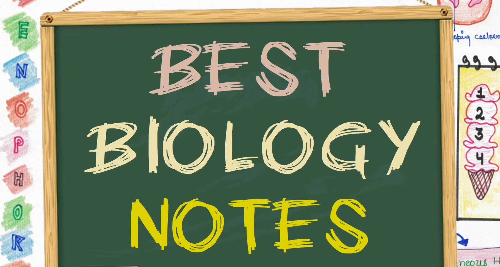 NEET notes for biology