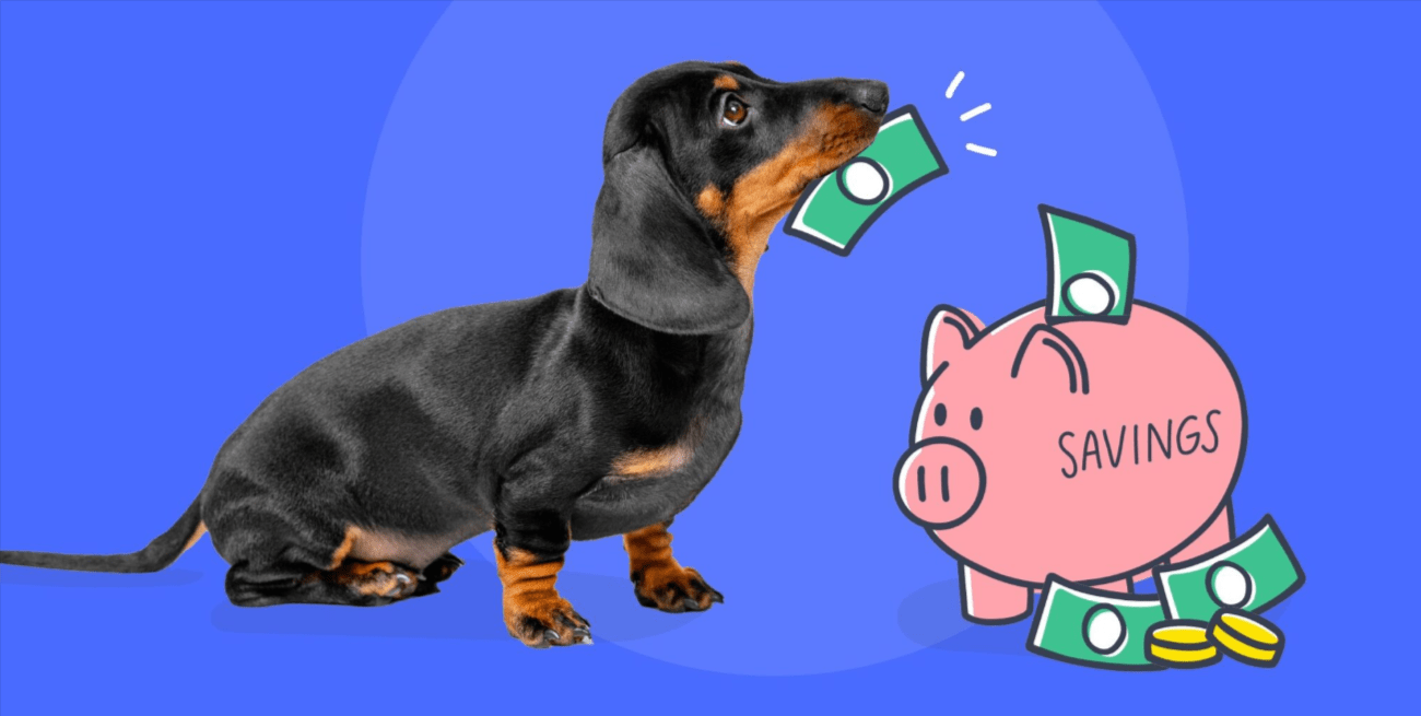 Pet Insurance Quotes for Dogs